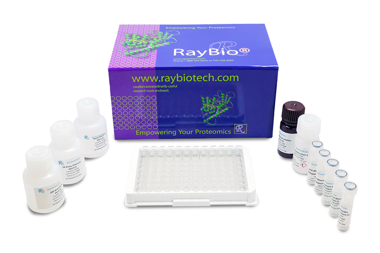 GLP-1 ELISA Kit