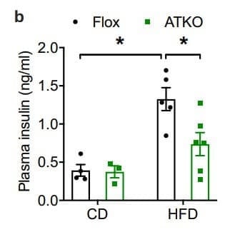 ELM-Insulin was used to measure plasma insulin in high-fat diet–fed adipocyte-specific TRPM7 knockout mice. Figure adapted from Zhong et al., Nature Communications, 2023.