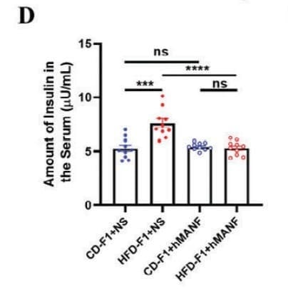 ELM-Insulin was used to measure fasting serum insulin in female offspring of paternal high-fat diet–induced obese mice. Figure adapted from Shi et al., Advanced Science, 2025.