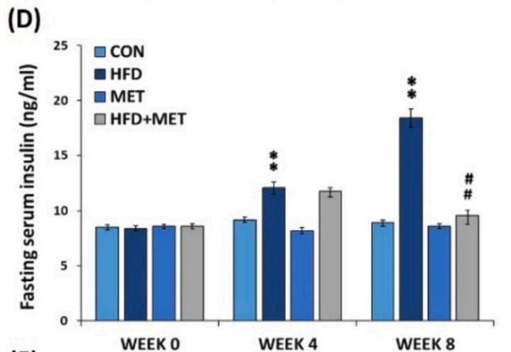ELM-Insulin was used to measure fasting serum insulin in high-fat diet–fed mice treated with metformin. Figure adapted from Mitra et al., BBA – Molecular Basis of Disease, 2024.