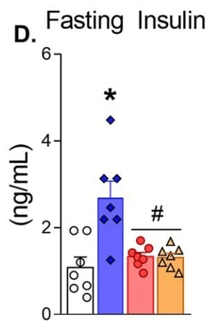 ELM-Insulin was used to measure fasting serum insulin in hyperinsulinemic Slc2a4+/− mice following short-term endurance or strength exercise. Figure adapted from Muñoz et al., Cellular and Molecular Life Sciences, 2023.