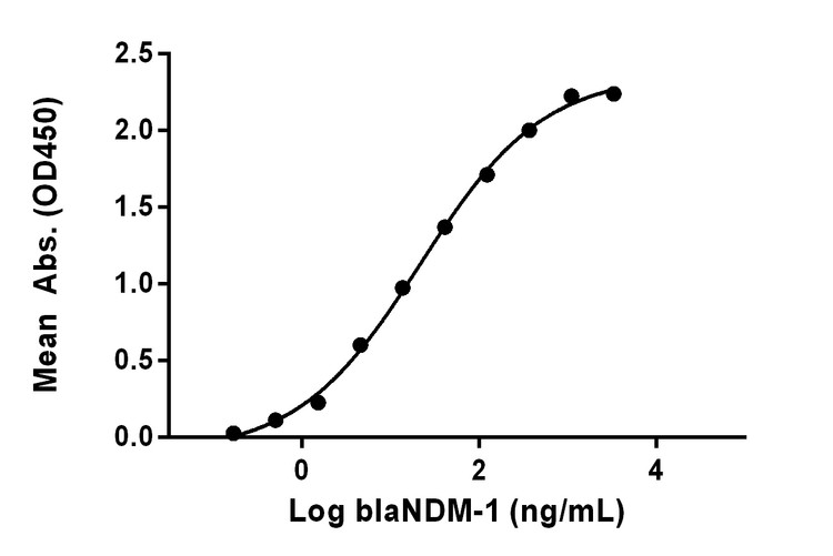 Measured by its binding ability in a functional ELISA. Immobilized recombinant blaNDM-1 can bind rabbit anti-blaNDM-1 antibody with EC50 at 21.8 ng/mL.