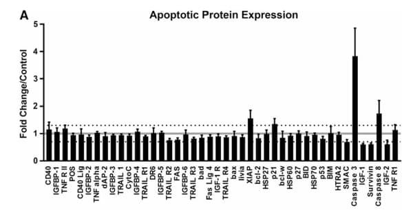 RayBiotech's Apoptosis Signaling Antibody Array demonstrated apoptosis induction in HepG2 cells treated with sorghum bran extract. Figure adapted from Smolensky et al., J Med Food, 2018.