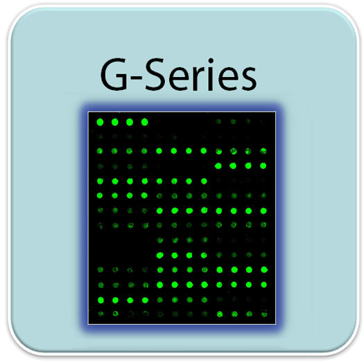 Mouse Cytokine Array GS5