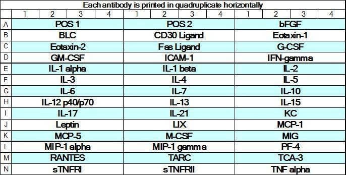 Mouse Cytokine Array GS5