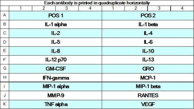 Human Cytokine Array GS1