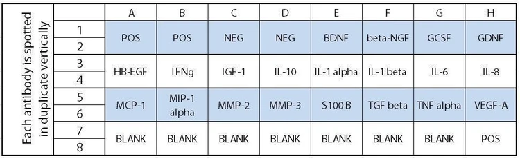 Human Neuro Discovery Array C1