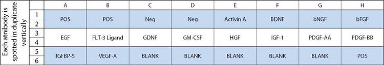 Rat Growth Factor Array 1