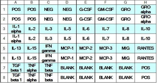 Human Cytokine Array C1
