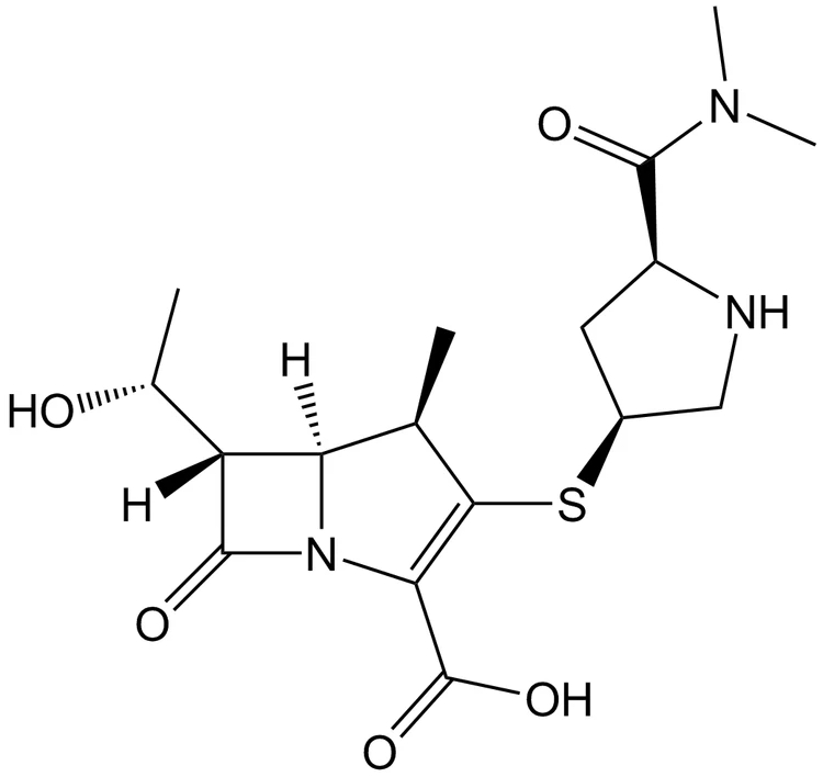 Meropenem