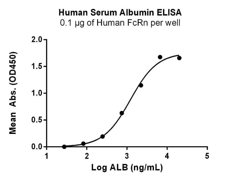 Recombinant Human Serum Albumin Protein