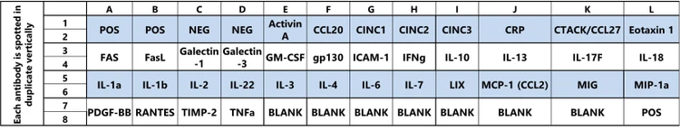 Rat Inflammation Array C3
