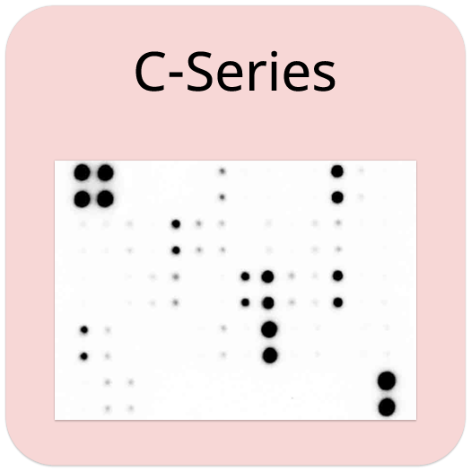 Rat Inflammation Array C3