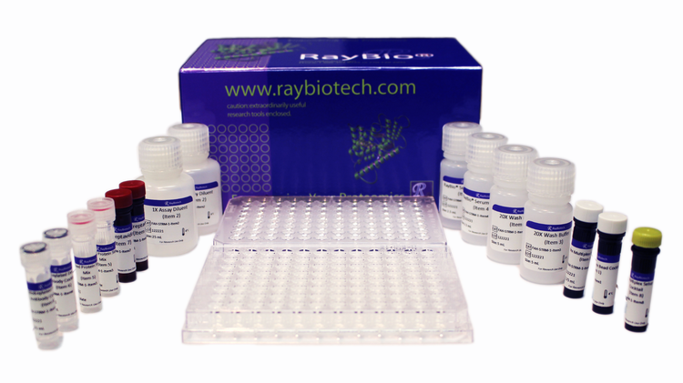 RayPlex® Human Cell Death Bead Array (13-Plex)