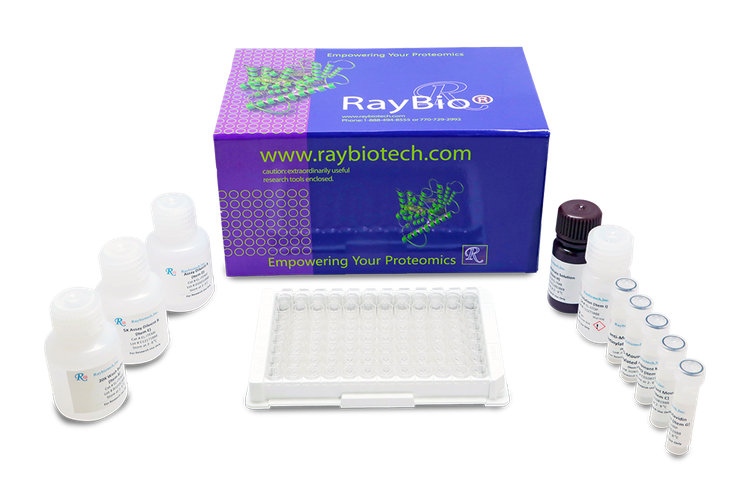 Alpha-MSH ELISA Kit