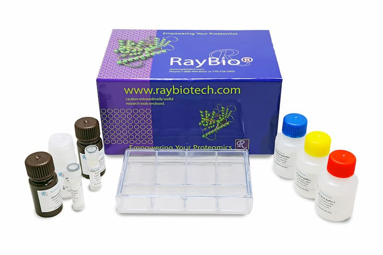 Human DNA Damage Response Phosphorylation Array C1