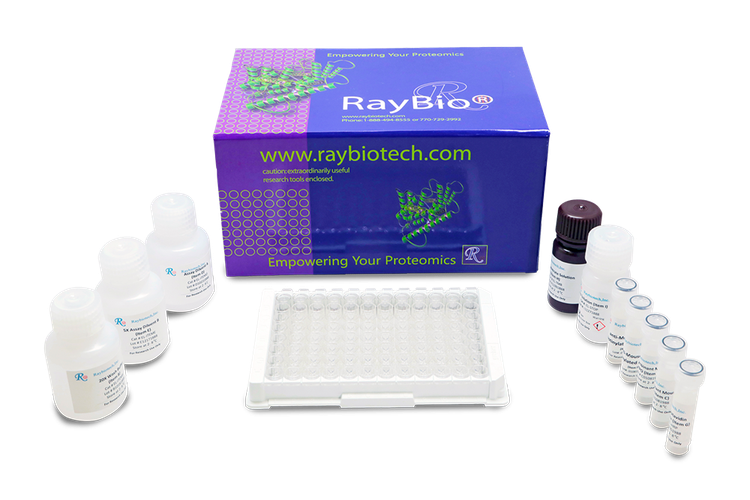 Human IL-35 ELISA kit