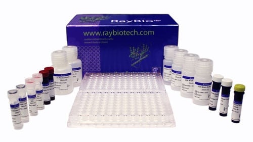 RayPlex® Human Growth Factor Bead Array (12-Plex)