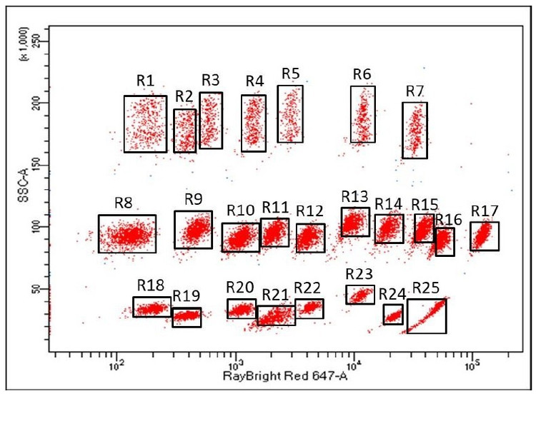 RayPlex® Human Growth Factor Bead Array (12-Plex)
