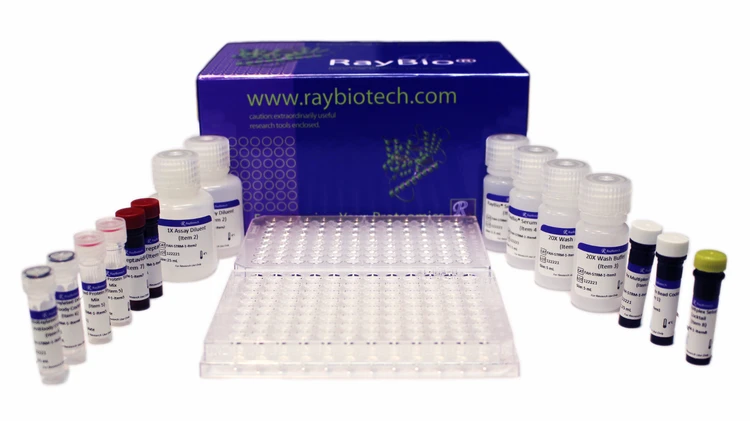 RayPlex® Human Anti-Viral Bead Array (14-Plex)