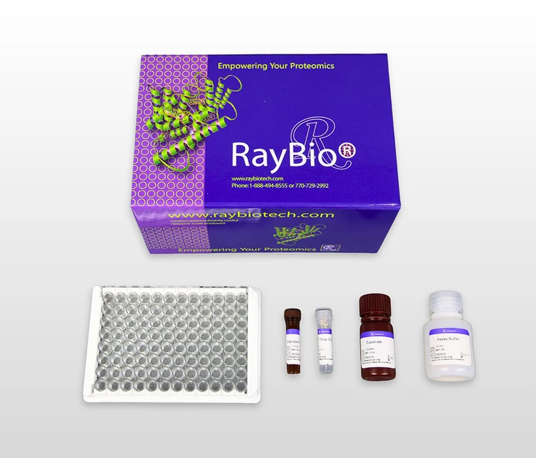 Superoxide Dismutase (SOD) Activity Assay Kit (Colorimetric)