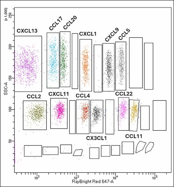 RayPlex® Mouse Chemokine Bead Array (12-Plex)