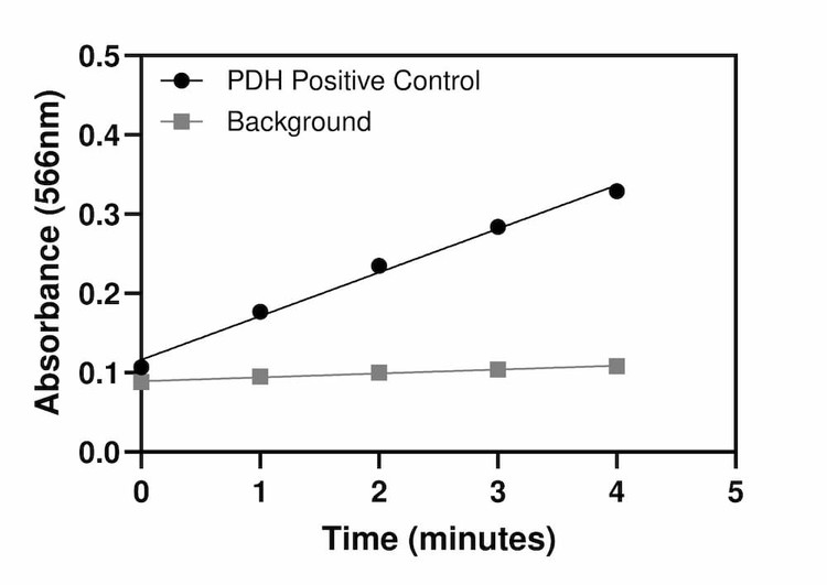 Pyruvate Dehydrogenase (PDH) Activity Assay Kit