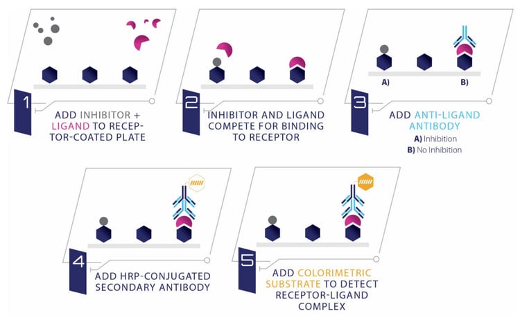 Human CD44 / MMP7 Ligand Binding Assay Kit