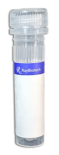 Proteinase K (liquid)