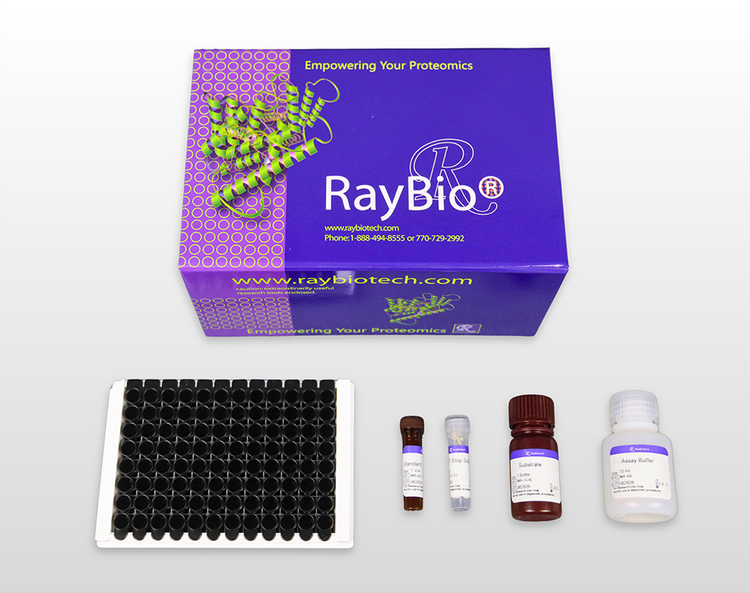 Calpain Activity Assay Kit (Fluorometric)