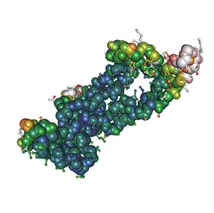 Glucagon Human