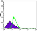 Flow cytometric analysis of MSCS cells using DDX4 monoclonal antibody (green) and negative control (purple).