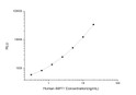 Human AMY1A (Alpha-amylase 1A) CLIA Kit for Quantitative Detection