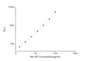 Rat CRT (Calreticulin) CLIA Kit for Quantitative Detection
