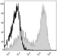 Mouse splenocytes were stained with Anti-Mouse I-A/I-E Monoclonal Antibody (APC Conjugated) (filled gray histogram). Unstained splenocytes (blank black histogram) were used as control.