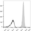 C57BL/6 murine splenocytes were stained with Anti-CD47 antibody (STJA0000209) [Used at 0.02<style>.product-options .custom-field{display:inline-block;background:#aaa;}</style><style>.label-data{font-weight:bold;min-width:100px;}.label-data,.data{display:inline-block;min-width:100px;}.description table{word-break:break-all;}.description table td{min-width:200px;}</style></div></div></div>
				      </div>
                      </div>
  </div>

    </div>




<div class=