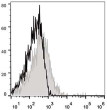 C57BL/6 murine splenocytes were stained with Anti-CD28 antibody (STJA0000266) (filled gray histogram). Unstained splenocytes (empty black histogram) were used as control.