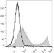 C57BL/6 murine splenocytes were stained with Anti-CD90.2 antibody (STJA0000506) [Used at 0.2 µg/10<sup>6</sup> cells dilution] (filled gray histogram). Unstained splenocytes (empty black histogram) were used as control.