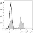 Rat splenocytes were stained with Anti-CD8a antibody (STJA0000545) [Used at 0.1 µg/10<sup>6</sup> cells dilution] (filled <style>.product-options .custom-field{display:inline-block;background:#aaa;}</style><style>.label-data{font-weight:bold;min-width:100px;}.label-data,.data{display:inline-block;min-width:100px;}.description table{word-break:break-all;}.description table td{min-width:200px;}</style></div></div></div>
				      </div>
                      </div>
  </div>

    </div>




<div class=