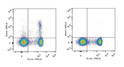 C57BL/6 murine splenocytes were stained with Anti-CD25 antibody (STJA0000567) and Anti-Mouse CD4 Monoclonal Antibody (FITC Conjugated) (left). Splenocytes stained with Anti-Mouse CD4 Monoclonal Antibody (FITC Conjugated)and Rat IgG1 Isotype Control (AF647 Conjugated) (right) were used as control.