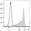 Rat splenocytes were stained with Anti-CD44H antibody (STJA0001070) (filled gray histogram). Unstained splenocytes (empty black histogram) were used <style>.product-options .custom-field{display:inline-block;background:#aaa;}</style><style>.label-data{font-weight:bold;min-width:100px;}.label-data,.data{display:inline-block;min-width:100px;}.description table{word-break:break-all;}.description table td{min-width:200px;}</style></div></div></div>
				      </div>
                      </div>
  </div>

    </div>




<div class=