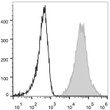 Anti-Ly6a antibody [D7] {APC} (STJA0002088)