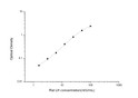 Rat LH (Luteinizing Hormone) Sandwich ELISA Kit (STJE0005448)