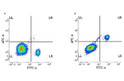 Anti-CD33 antibody <style>.product-options .custom-field{display:inline-block;background:#aaa;}</style><style>.label-data{font-weight:bold;min-width:100px;}.label-data,.data{display:inline-block;min-width:100px;}.description table{word-break:break-all;}.description table td{min-width:200px;}</style></div></div></div>
				      </div>
                      </div>
  </div>

    </div>




<div class=