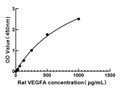 Rat VEGFA (Vascular Endothelial Growth Factor A) Sandwich ELISA Kit <style>.product-options .custom-field{display:inline-block;background:#aaa;}</style><style>.label-data{font-weight:bold;min-width:100px;}.label-data,.data{display:inline-block;min-width:100px;}.description table{word-break:break-all;}.description table td{min-width:200px;}</style></div></div></div>
				      </div>
                      </div>
  </div>

    </div>




<div class=