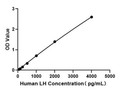 Human LH (Luteinizing Hormone) Sandwich ELISA Kit (STJE0019631)