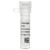 cDNA