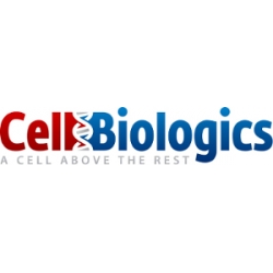 Rabbit Primary Peripheral Blood Mononuclear Cells (N-PBMC)