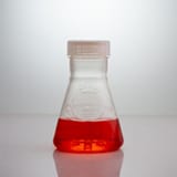 Optimum Growth® 500mL Flask