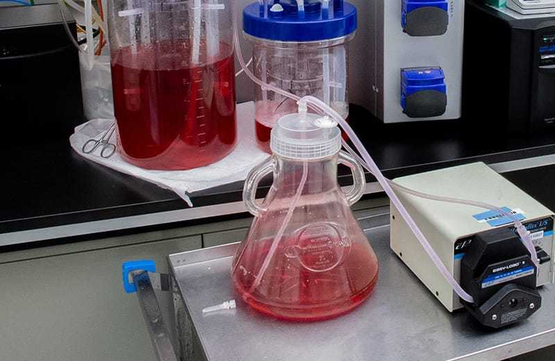 bidirectional in action